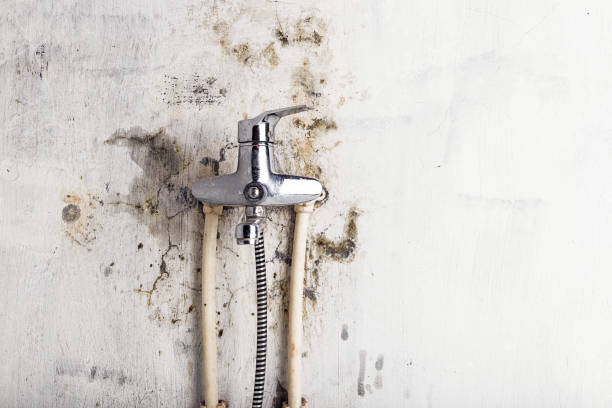 Best Water Damage Restoration  in Ridgeland, MS