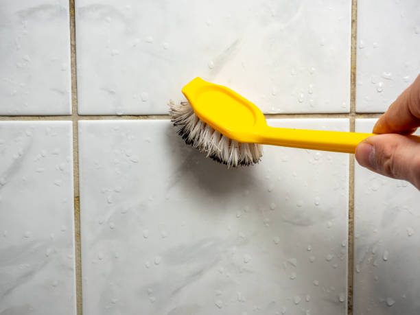 Best Mold Removal and Inspection  in Ridgeland, MS