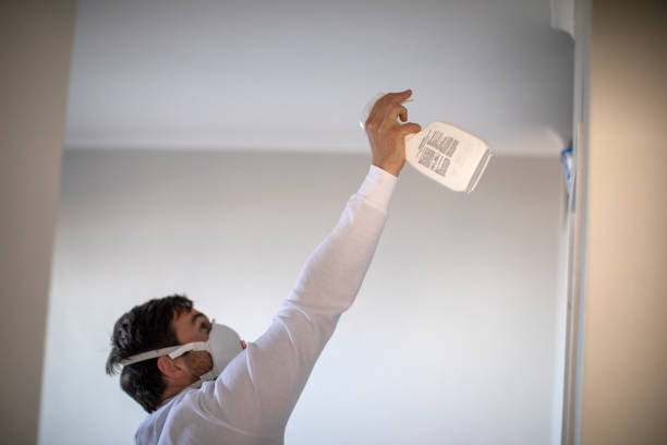 Professional Mold Removal in Ridgeland, MS