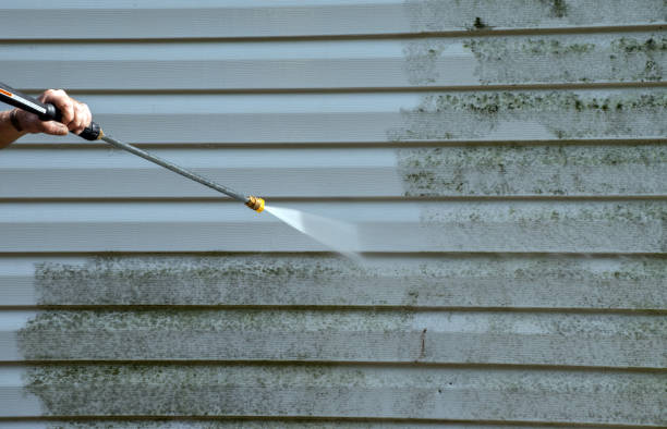 Mold Removal Process in Ridgeland, MS