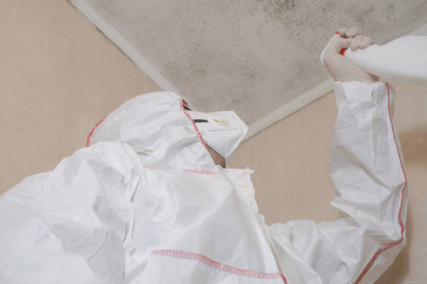  Ridgeland, MS Mold Removal Pros
